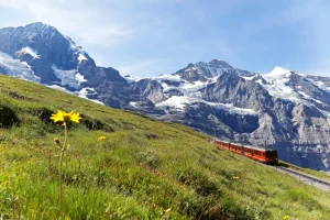 Read more about the article Jungfraujoch