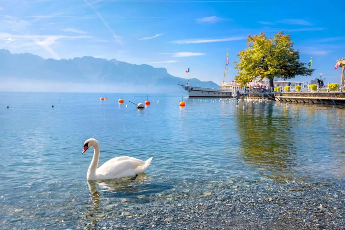 Read more about the article Lake Geneva